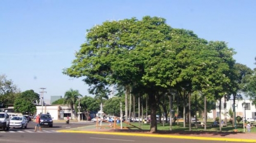 destaque